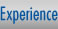 Experience