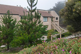 Pacifica condo for sale